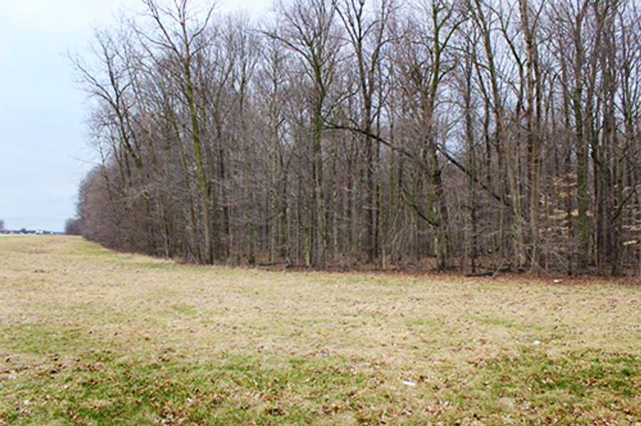 LAND AUCTION - 33.64+/- ACRES IN 2 TRACTS IN KOSCIUSKO COUNTY, INDIANA